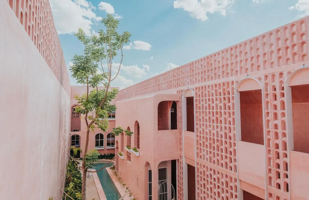 Casa Amate 61 - Mérida centro-1