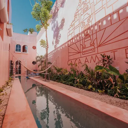 Casa Amate 61 - Mérida centro-3